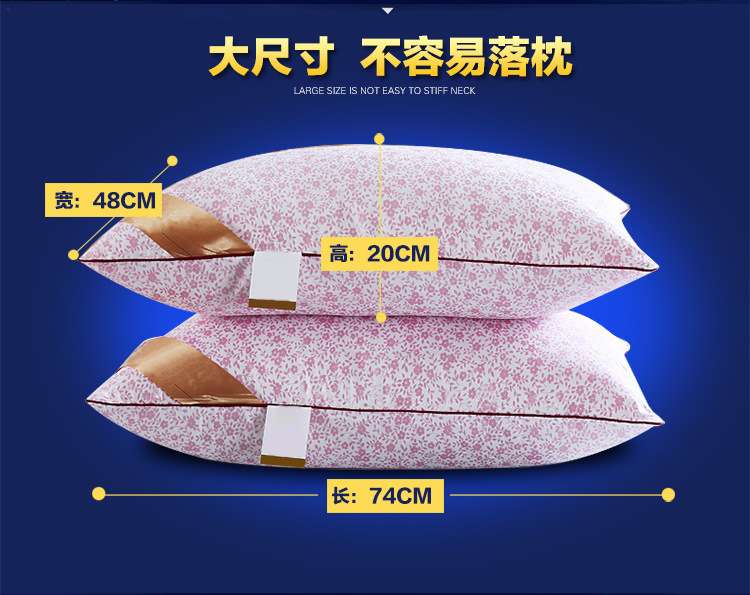 Hot promotion 100% silk hotel goose down pillow inner  BD-SH036