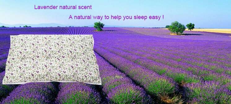 Lavender Health Care/Keep Fit Protect Camail Pillow Pillow Inner for Hotel/Bedding/Health  BD-SH038