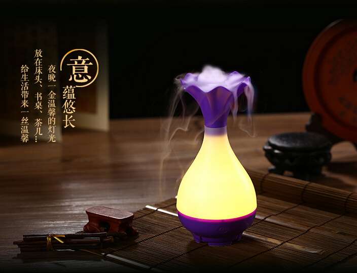 Creative Vase Winter Humidification Elegant Bottle Humidifier  BDSH109