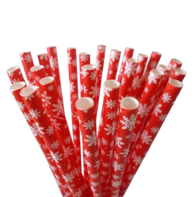 Paper Straws BD-S60