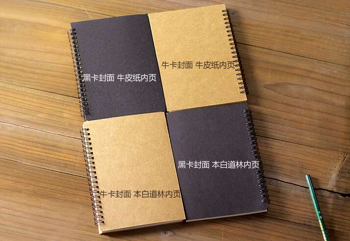 2 ring diary notebook with pen  BDSH259